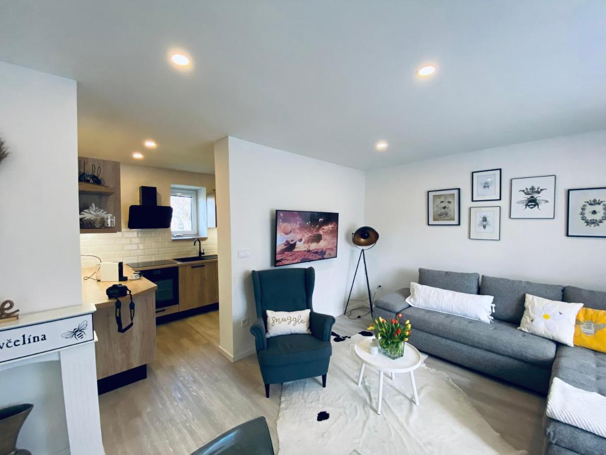 Apartman U Vcelina Chlumec nad Cidlinou Ngoại thất bức ảnh